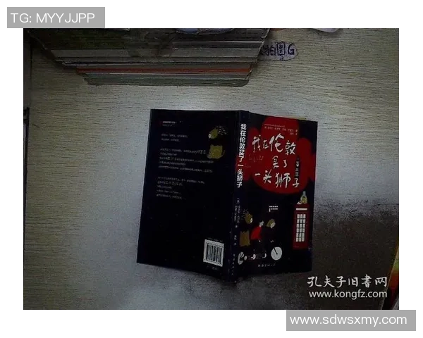 金士顿市与布林狮子激战正酣谁能在这场较量中胜出