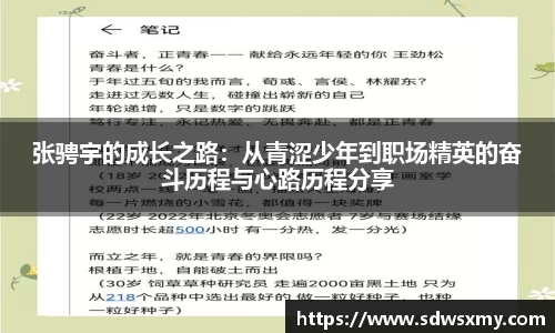 BSport必一运动最新地址